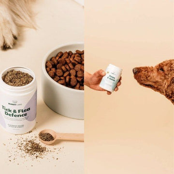 Kosttilskud til hunde