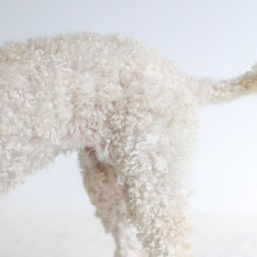 B&B - hundefrisørens råd til din hunds pels