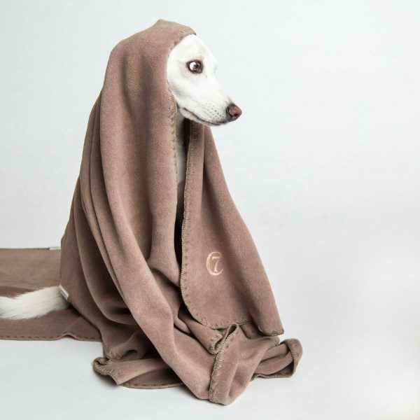 Cloud7 Blanket // Hundetæppe i fleece (beige)