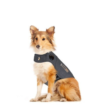 Thundershirt // Beroligende vest til hunde