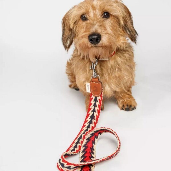 Buddys Dogwear Peruvian Arrow // Bred og let line (rød)