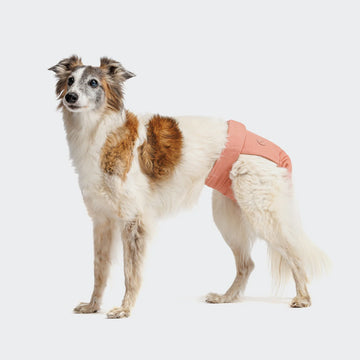 Cloud7 Dog Panties // Løbetidsbukser med god pasform (rose)