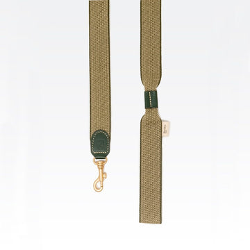 Buddys Dogwear James Green // Bred og let line (grøn)