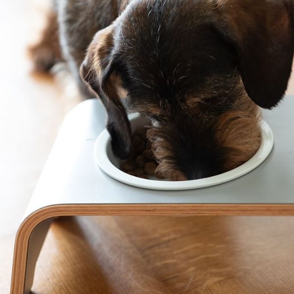 dogBar, Porcelæn Skåle // Foder- og vandskåle stativ (grå)