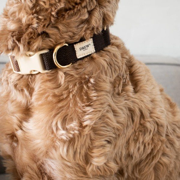 Drew's Dogwear Chocolate // Justerbart halsbånd (mørkebrun)