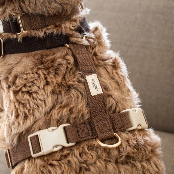 Drew's Dogwear Chocolate // Justerbar y-sele (mørkebrun)