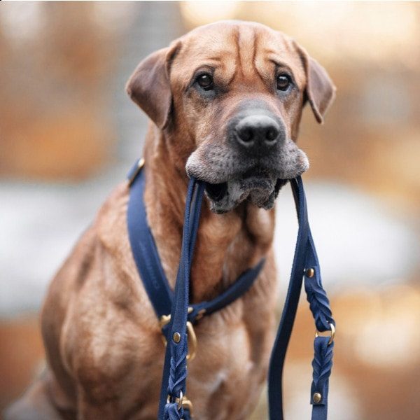 Butter Navy // Justérbar line i blødt læder (navy blå)