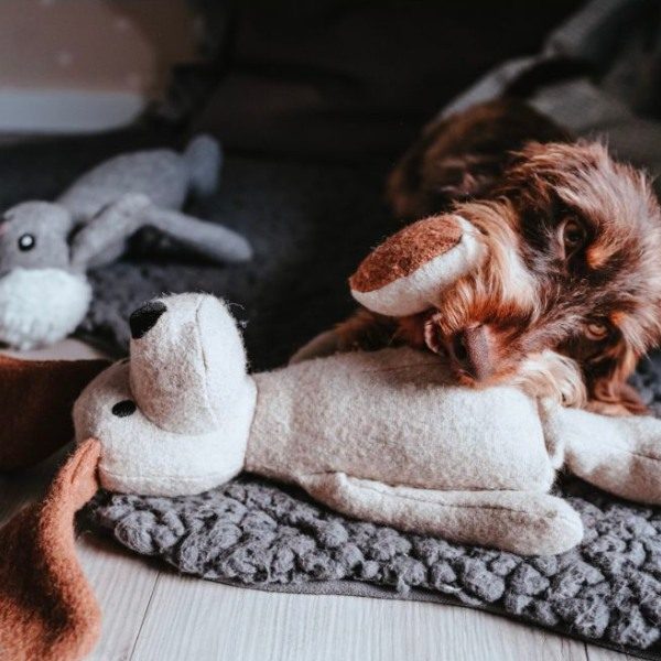 Hunter Marle // Hundelegetøj i genanvendt filt (hund)