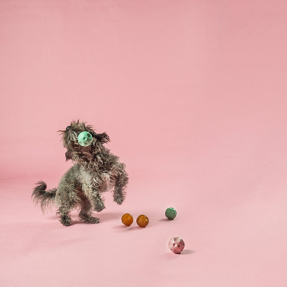 Hevea Moonball // Naturgummi bold med plads til godbidder (rosa)