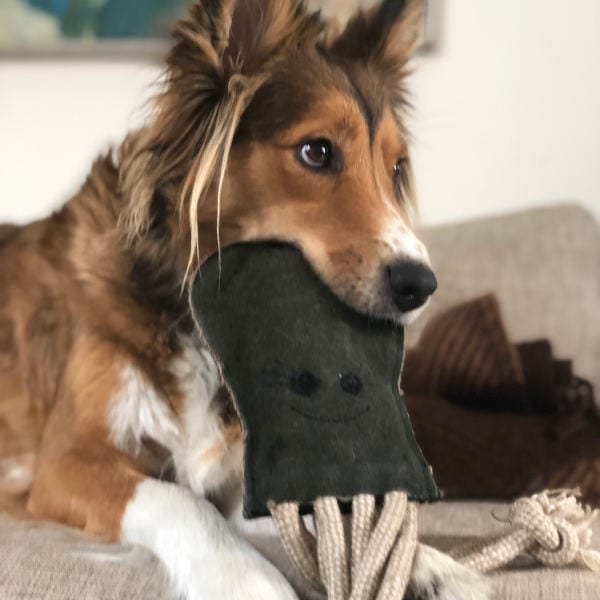 Olive the Octopus // Hundelegetøj med ekstra crunch (blæksprutte)