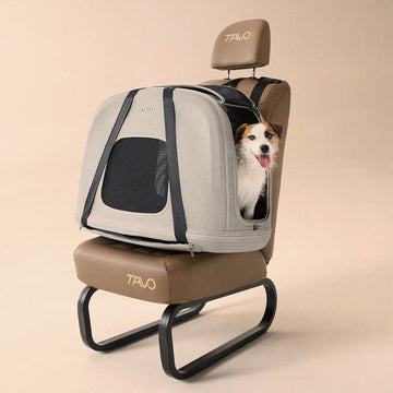 Tavo Crispin™ // Crash-testet transportbur med ISOFIX til bil (M)