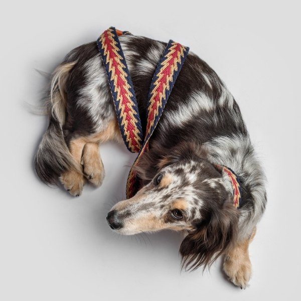 Buddys Dogwear Peruvian Arrow // Bred og let line (blå)