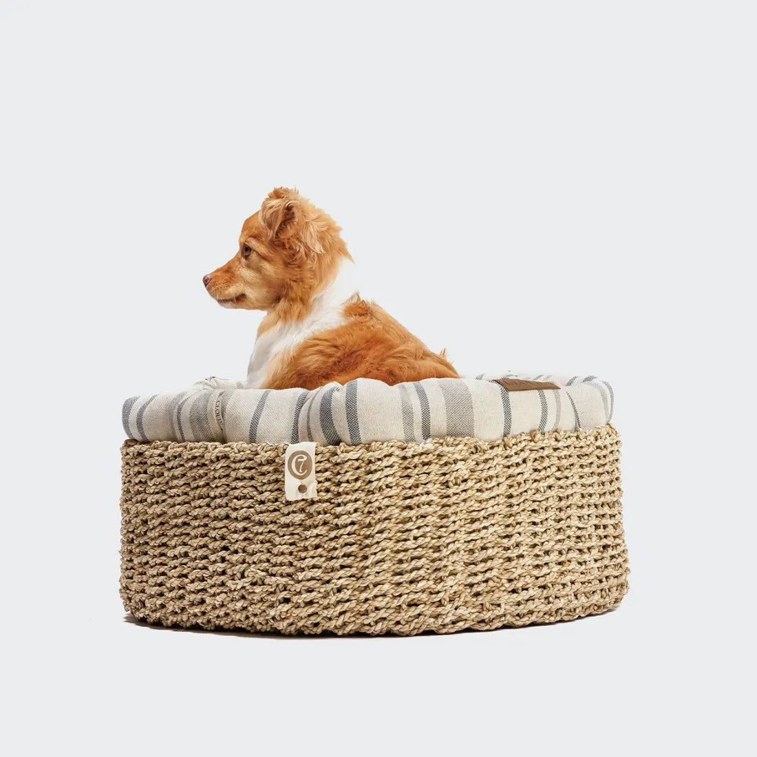 Cloud7 Basket Lazy // Rund hundekurv med blød inderpude (blue stripes)