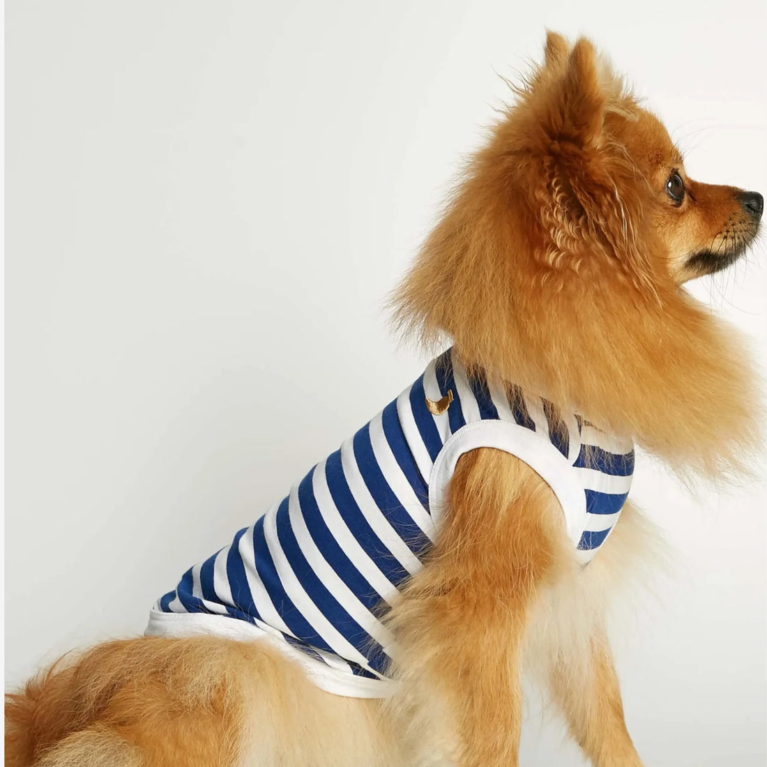 Daniel Bodysuit // Hundetrøje i økologisk bomuld (blå)