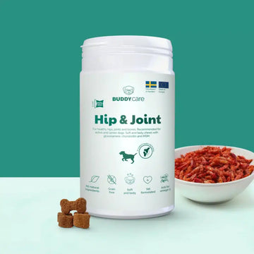 Buddy Hip & Joint // Naturligt kosttilskud til knogler og led
