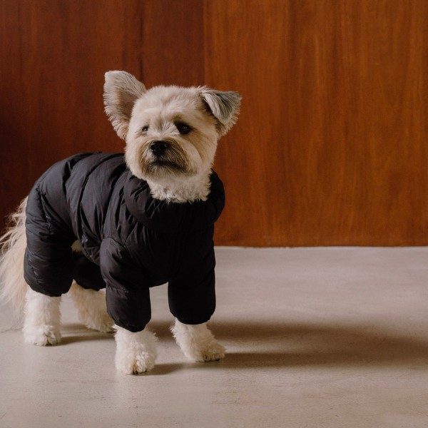 Cushycushy Onesie // Flyverdragt som ikke skal over hovedet (pure black) Str 2