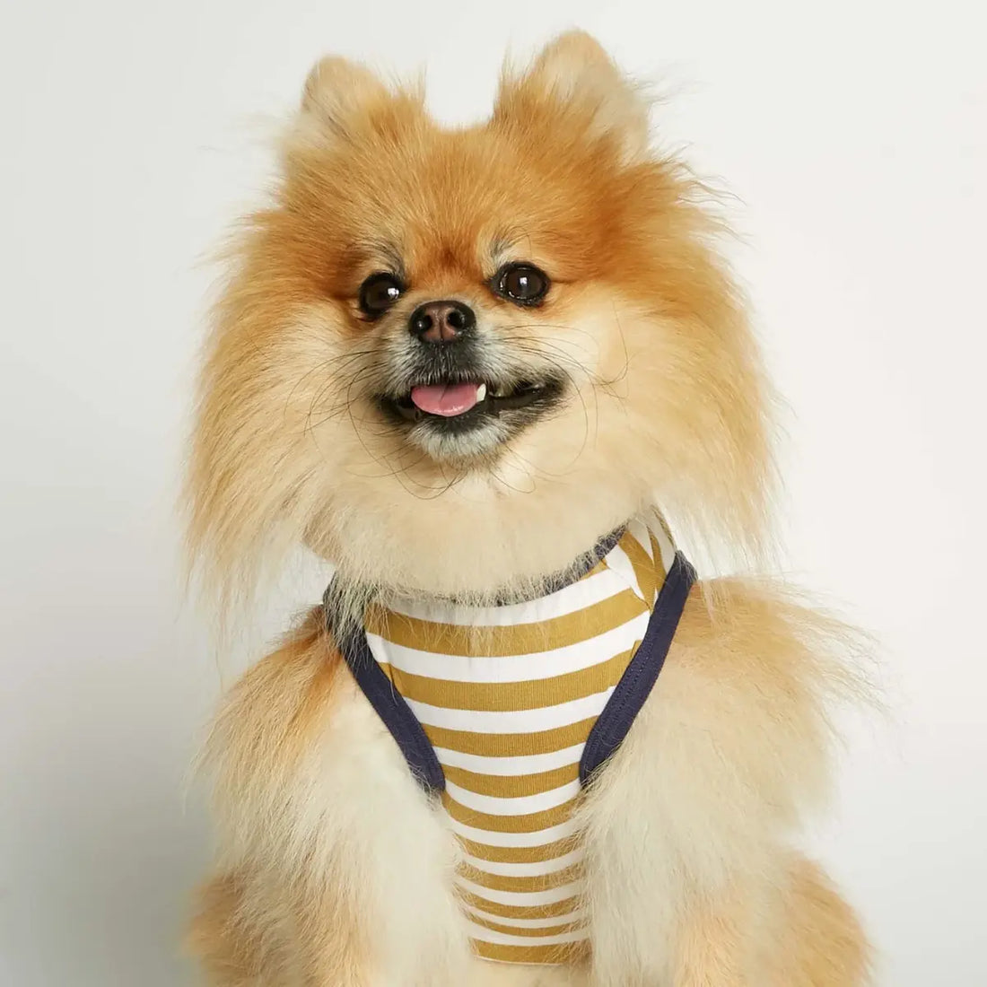Daniel Bodysuit // Hundetrøje i økologisk bomuld (dijon/grøn) XS