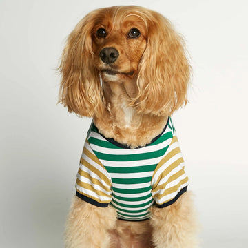 David T-shirt // Hundetrøje med ærmer i økologisk bomuld (grøn/dijon)