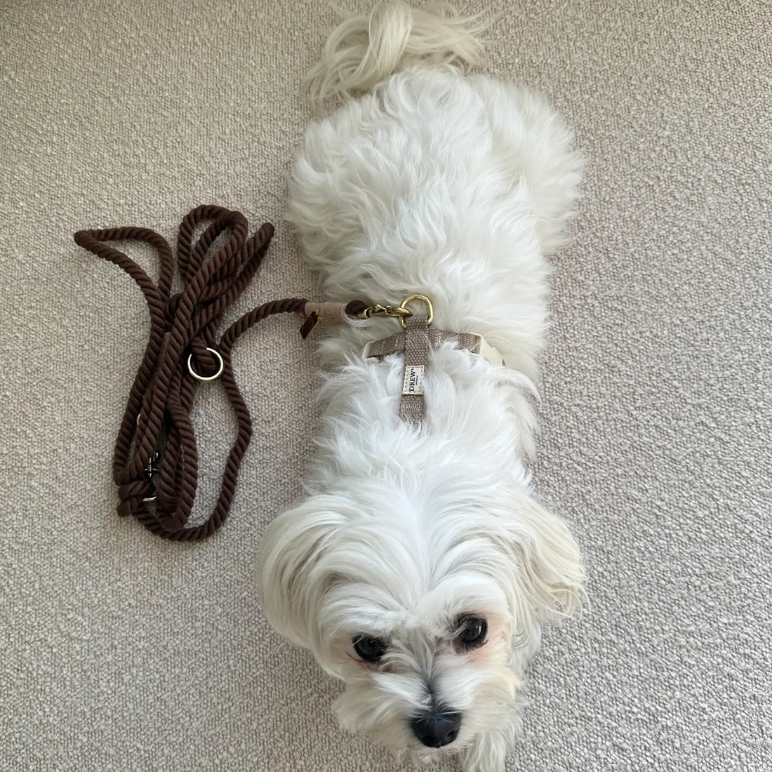 Drew's Dogwear Brun // Justerbar og blød rebline (mørkebrun)