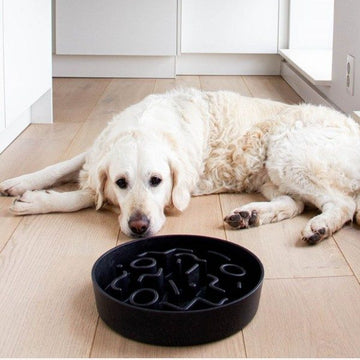 District 70 Slow Feeder // Spis-langsomt hundeskål (mørkegrå)