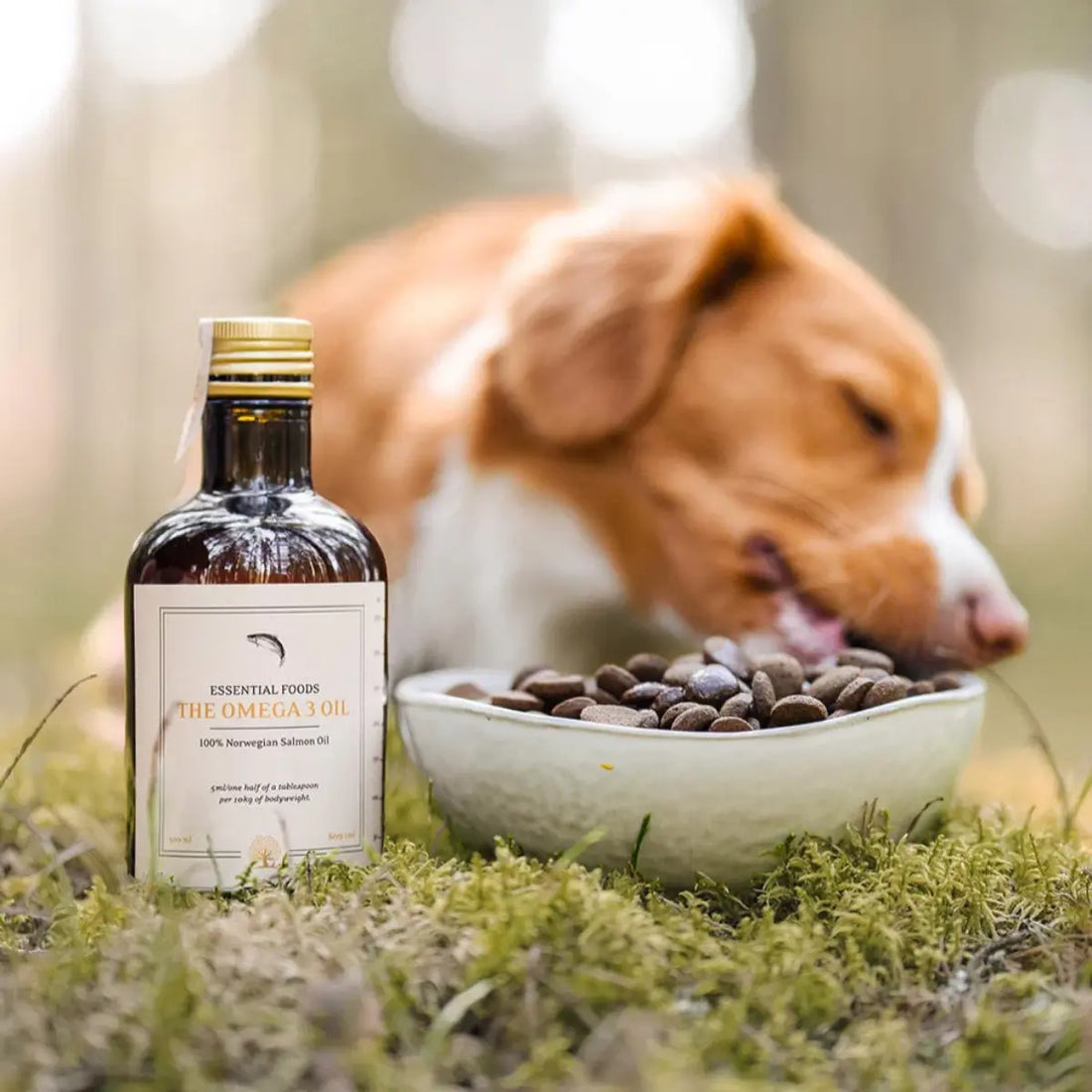 Essential The Omega 3 Oil // Koldpresset lakseolie til hunde (500 ml)