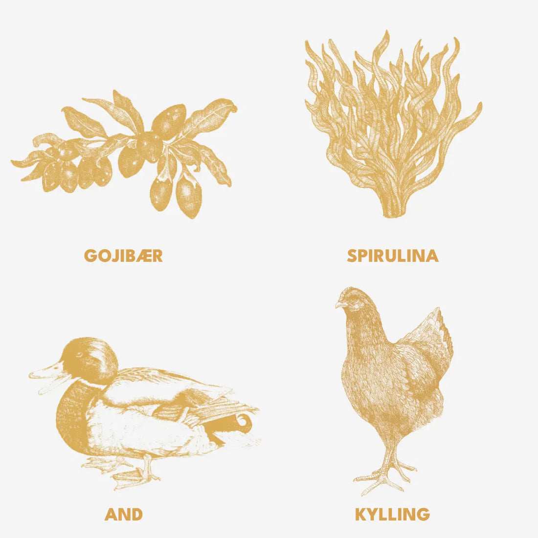 Essential Contour Paté // Vådfoder til hunde med tendens til overvægt (400 g)