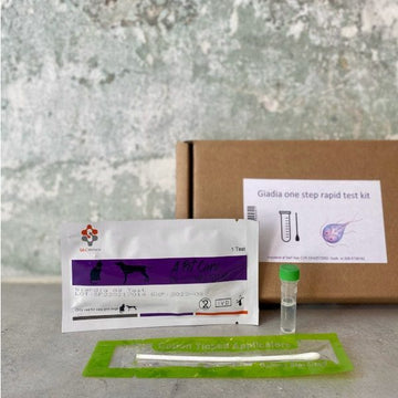 Giardia Antigen hjemmetest // Test din hund for Giardia