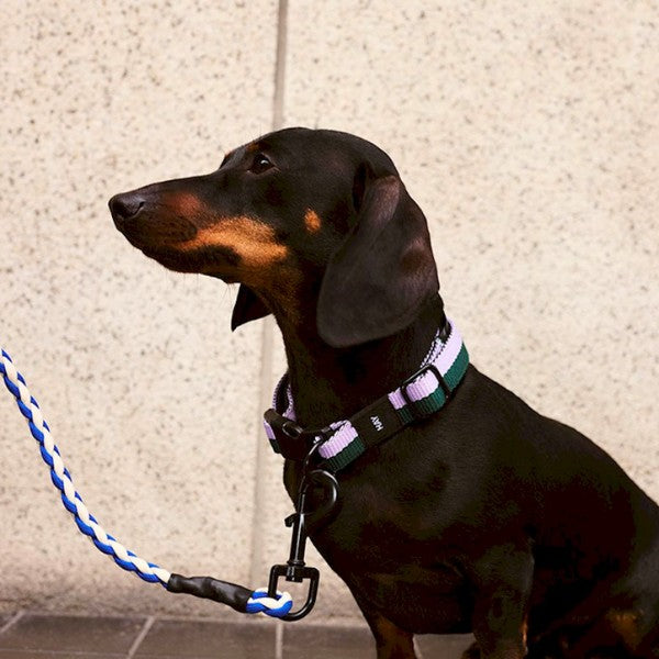 HAY Dogs Braided // Flettet hundeline i genanvendt nylon (blå/hvid)