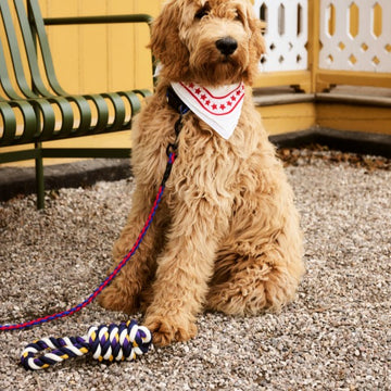 HAY Dogs Scarf // Hundebandana i bomuld (hvid/rød)