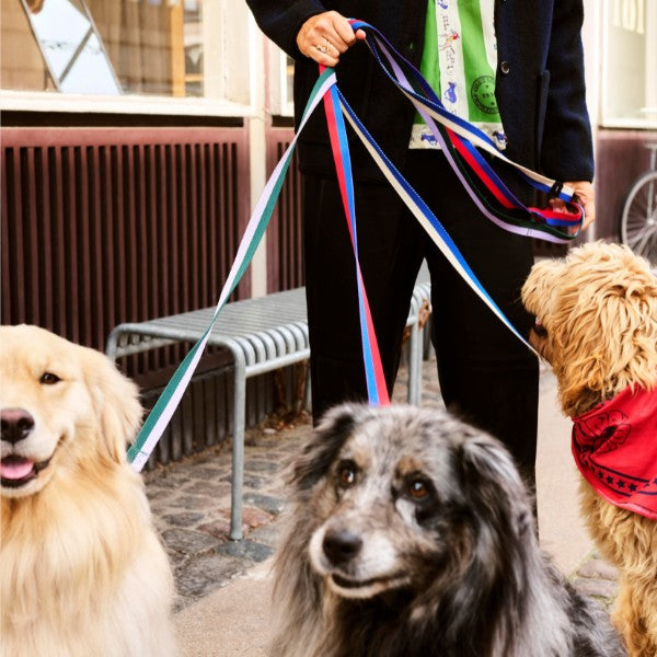 HAY Dogs Flat // Klassisk hundeline i genanvendt nylon (rød/blå)