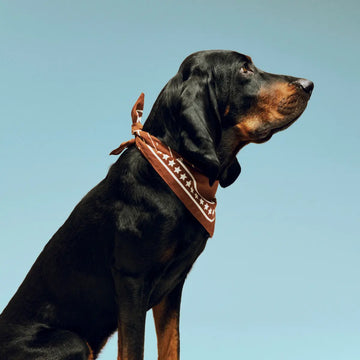 HAY Dogs Scarf // Hundebandana i bomuld (brun)