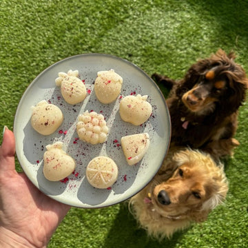 HOKUŌ™ Paw-Sicle Kit // Lav-selv hundeis med Bone Broth (okse)