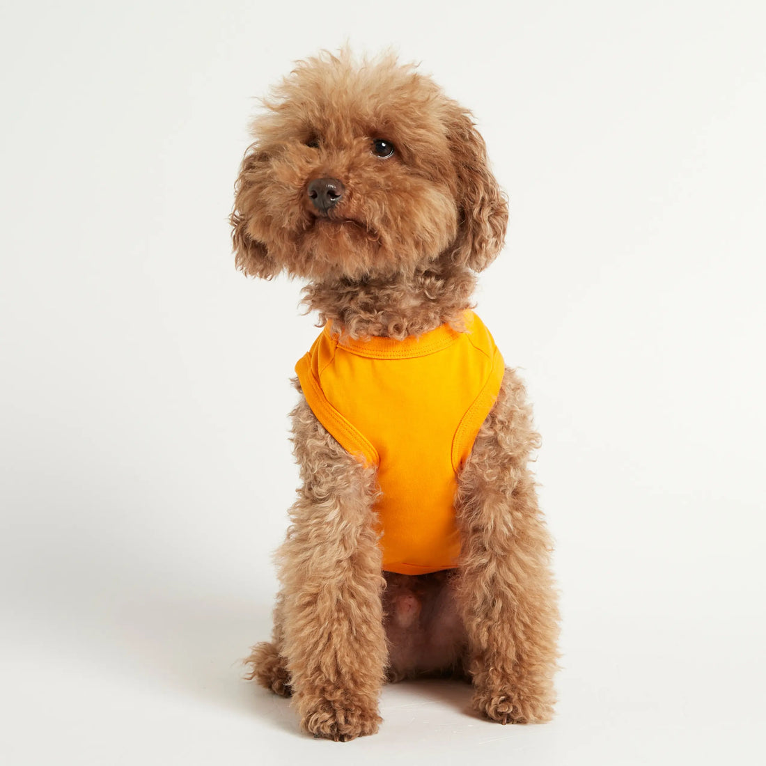 Imi Bodysuit // Hundetrøje i økologisk bomuld (orange)
