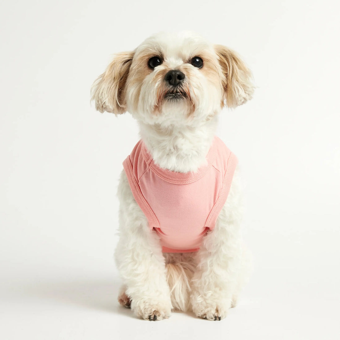 Imi Bodysuit // Hundetrøje i økologisk bomuld (pink)