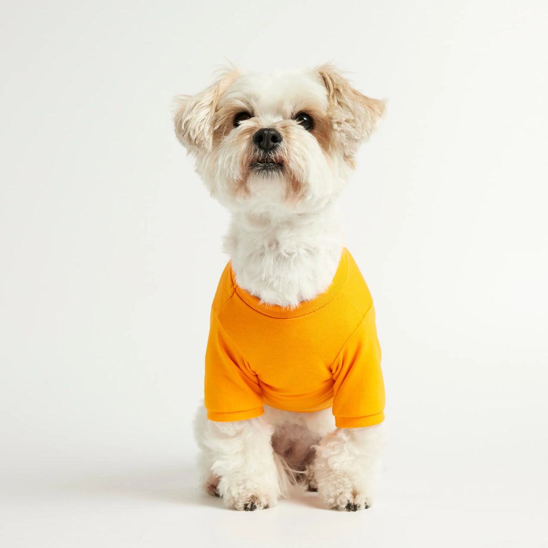 Imi T-shirt // Hundetrøje med ærmer i økologisk bomuld (orange)