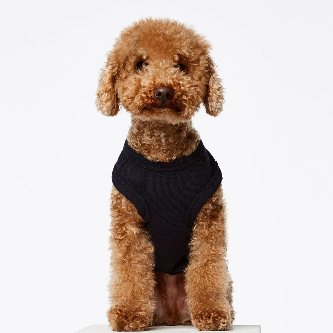 Josef Bodysuit // Hundetrøje i økologisk bomuld (navy) XS og XL
