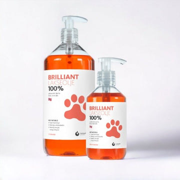 Brilliant salmon oil // Naturlig lakseolie til hunde