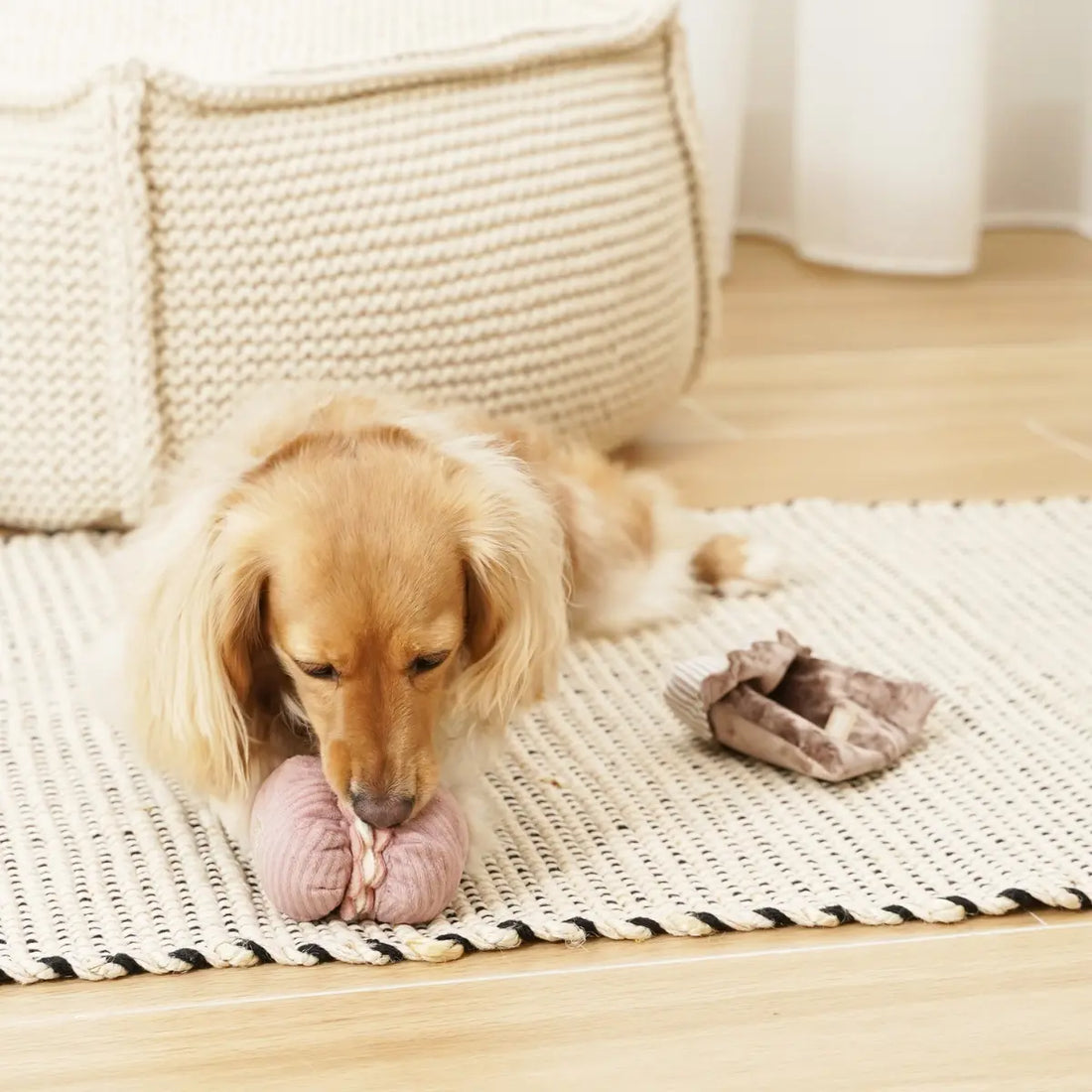 Lambwolf Petite Two // Aktivitetslegetøj med plads til godbidder