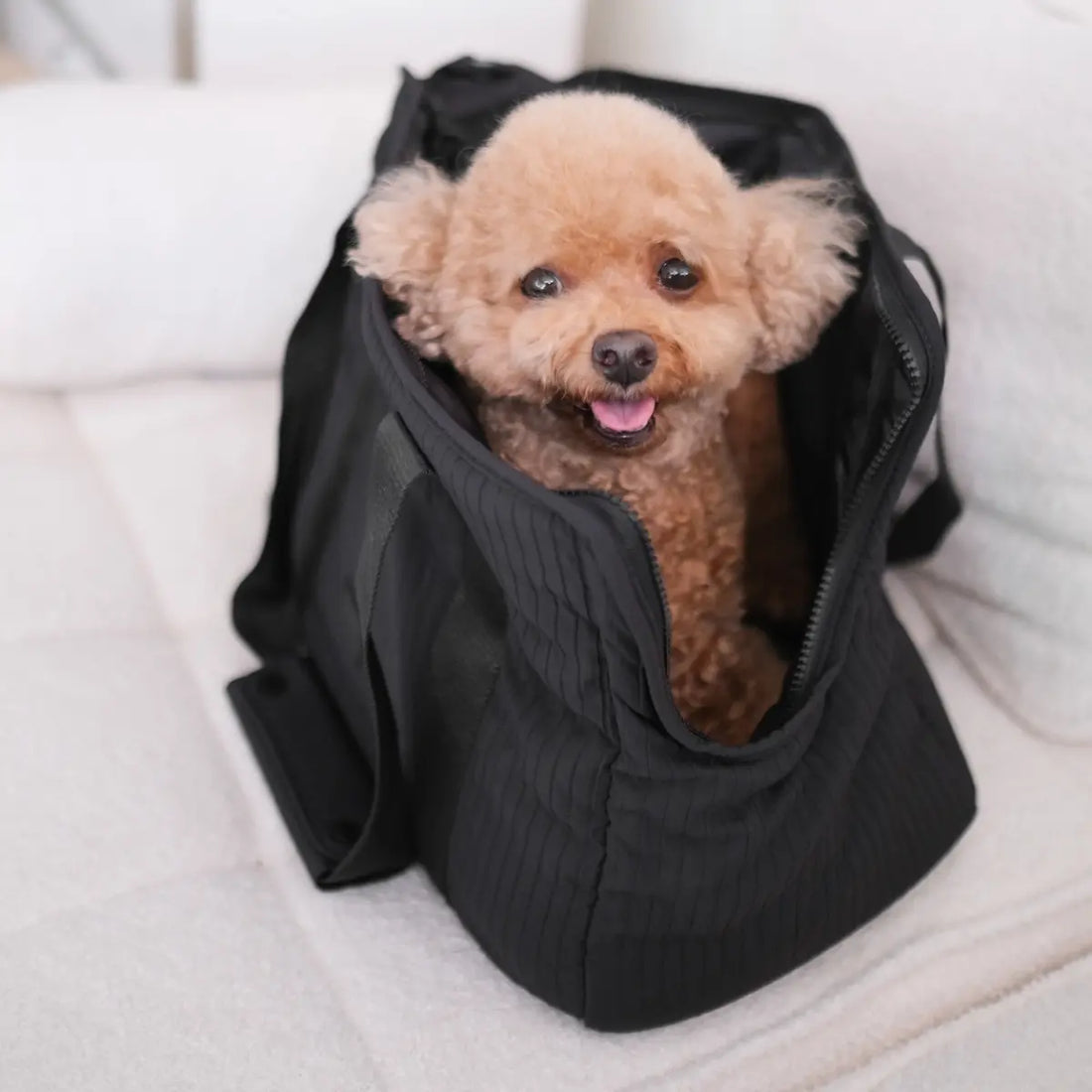 Lambwolf City // Hundetaske med åndbar lukning (sort)