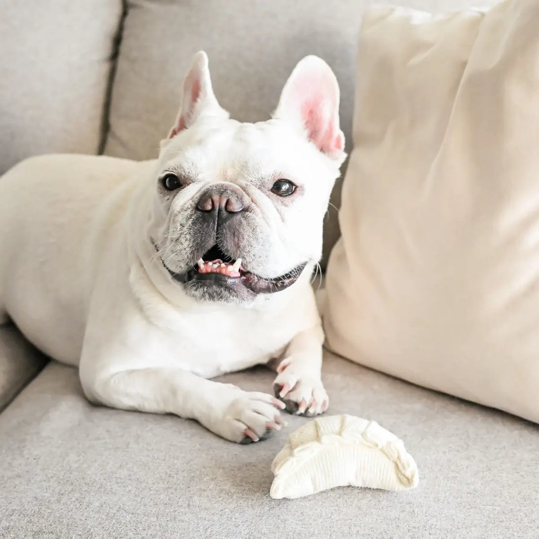 Lambwolf Dim Sum // Aktivitetslegetøj med piv og plads til godbidder