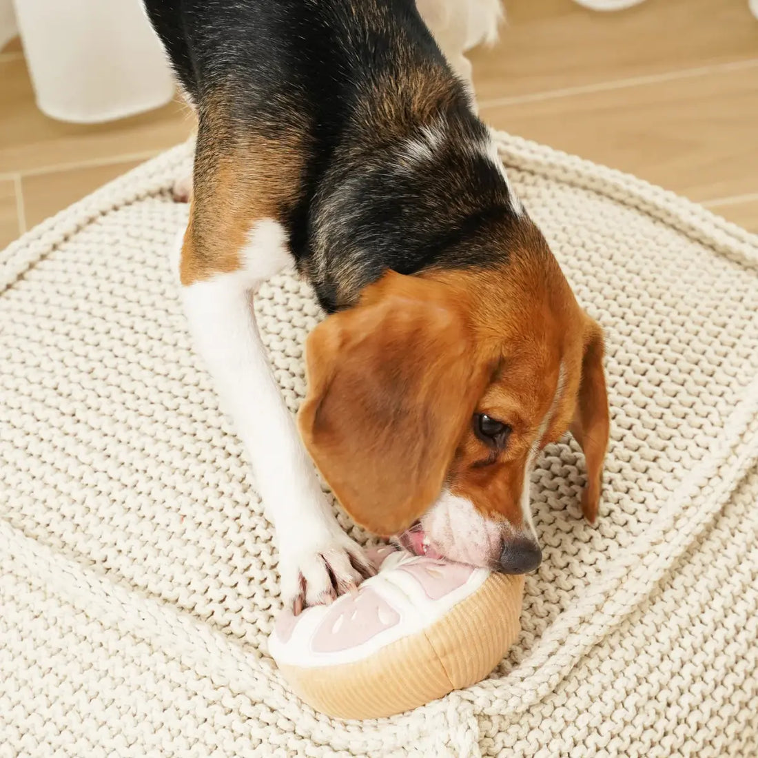 Lambwolf Grape // Aktivitetslegetøj med lommer og 'piv'