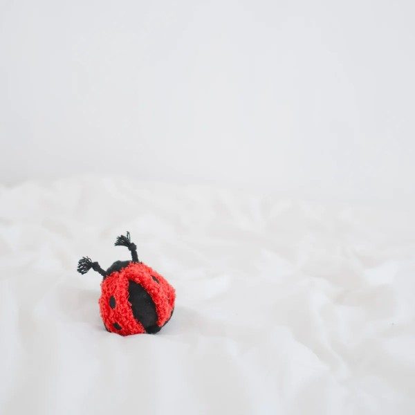 Lambwolf Lady Bug // Aktivitetslegetøj med 'piv'
