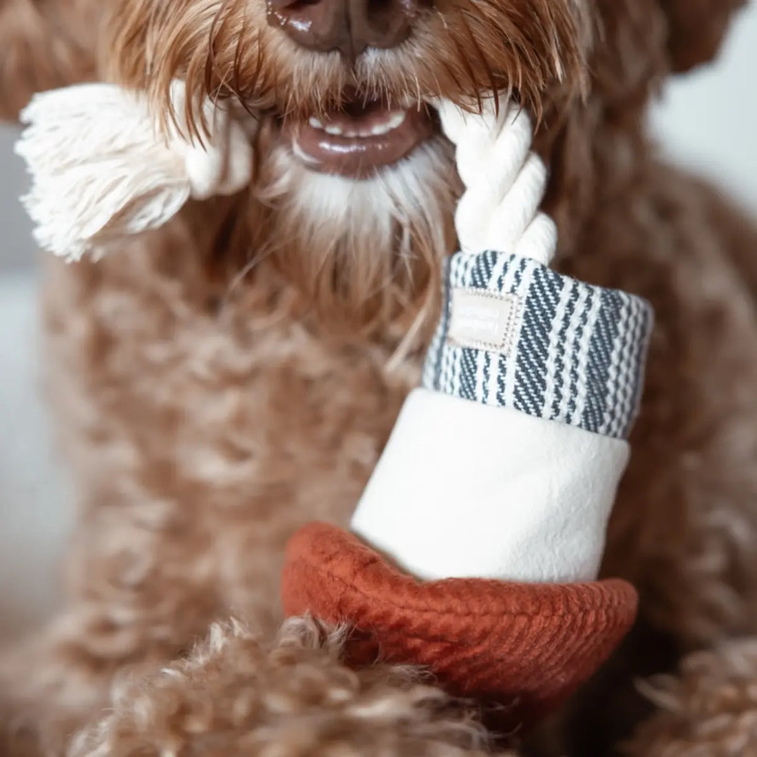 Lambwolf Rocket // Nytårslegetøj med bolde og reb