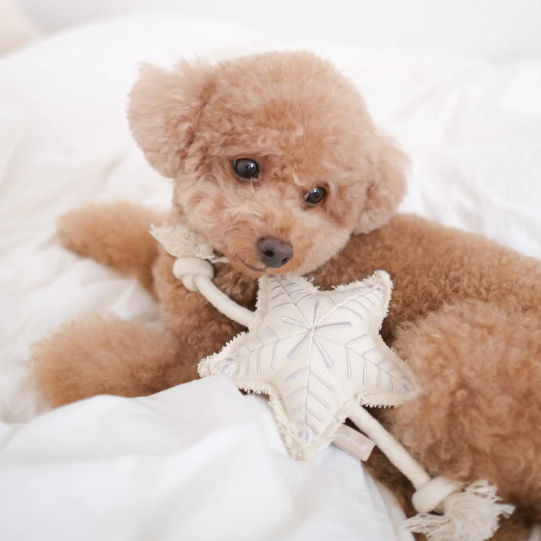 Lambwolf Holiday Star / Julelegetøj med reb