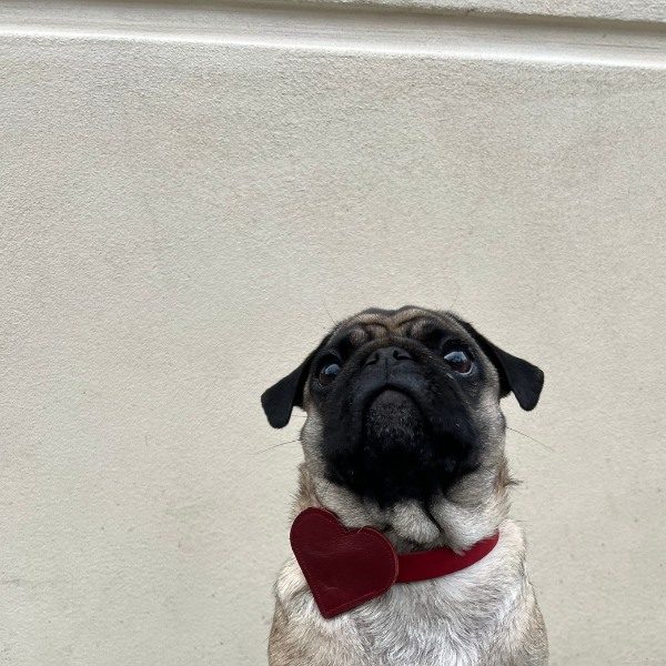 Bone & Bites, Vega // Læderhjerte til halsbånd