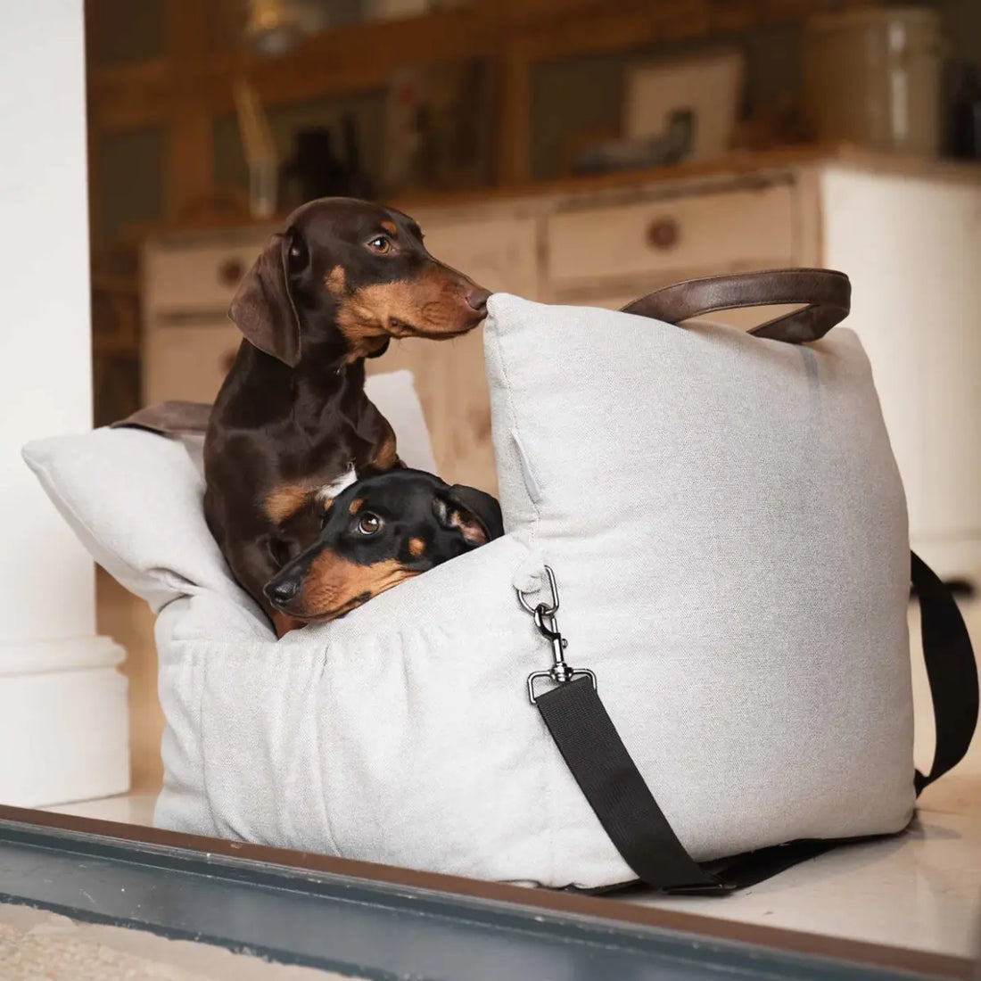 Lords & Labradors // 3-i-1 bilsæde til hunde (slate)