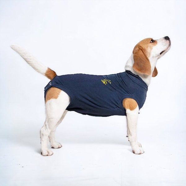 Medical Pet Shirt // Beskyttende heldragt til hunde (blå)