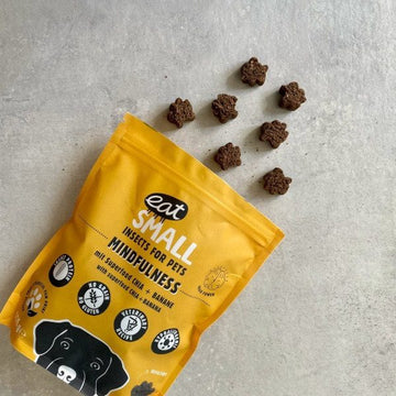 Eat Small Mindfulness// Bæredygtige godbidder med insekter, chia og banan
