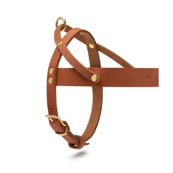 Butter Sahara // Klassisk sele i blødt læder (cognac)