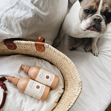 Nocat Studio Luft // Luksus balsamspray til hunde